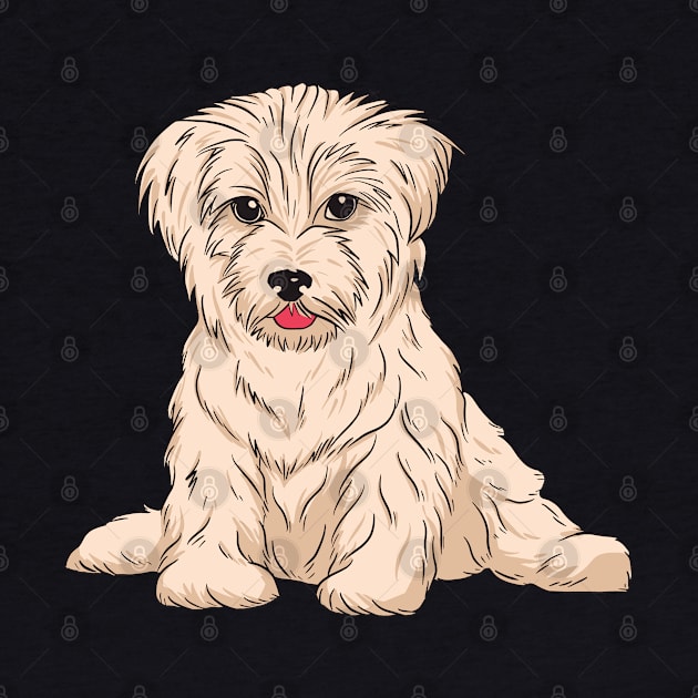 Havanese Dog Breed by Printroof